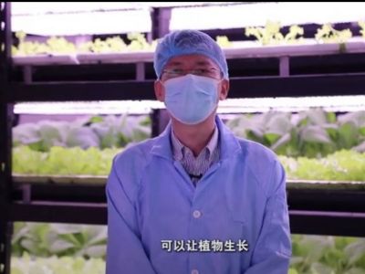 《成功新華流-02/15節目回顧》從寶島到天山：臺灣人在新疆的植物工廠/ 長城新景： 北京平穀區將軍關長城/機器人出海： 超30家中國機器人企業集體亮相2026年CES/冰雪季開跑： 北京什刹海與紫竹